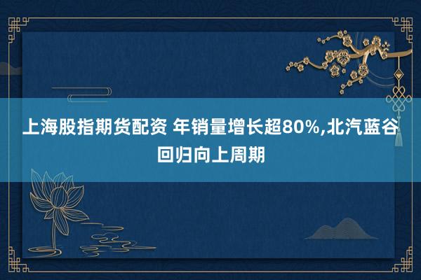 上海股指期货配资 年销量增长超80%,北汽蓝谷回归向上周期