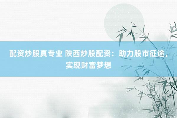 配资炒股真专业 陕西炒股配资：助力股市征途，实现财富梦想